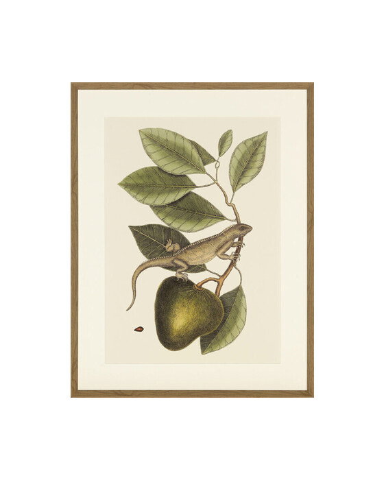 Lizard And Fruit Branch – Newport – grön väggkonst
